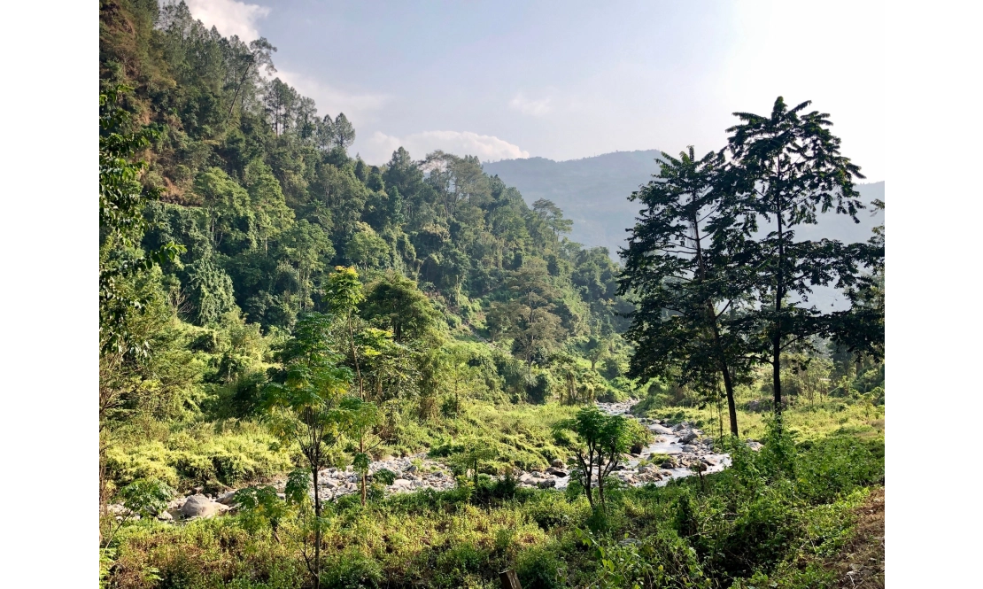 Bhutan und das Bruttonationalglück <br> - Eine Einführung