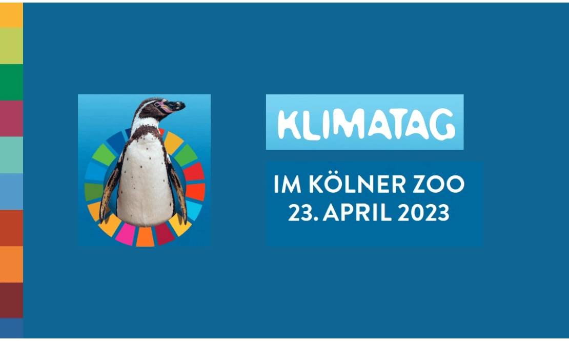 Allerweltshaus beim KlimaTag im Kölner Zoo